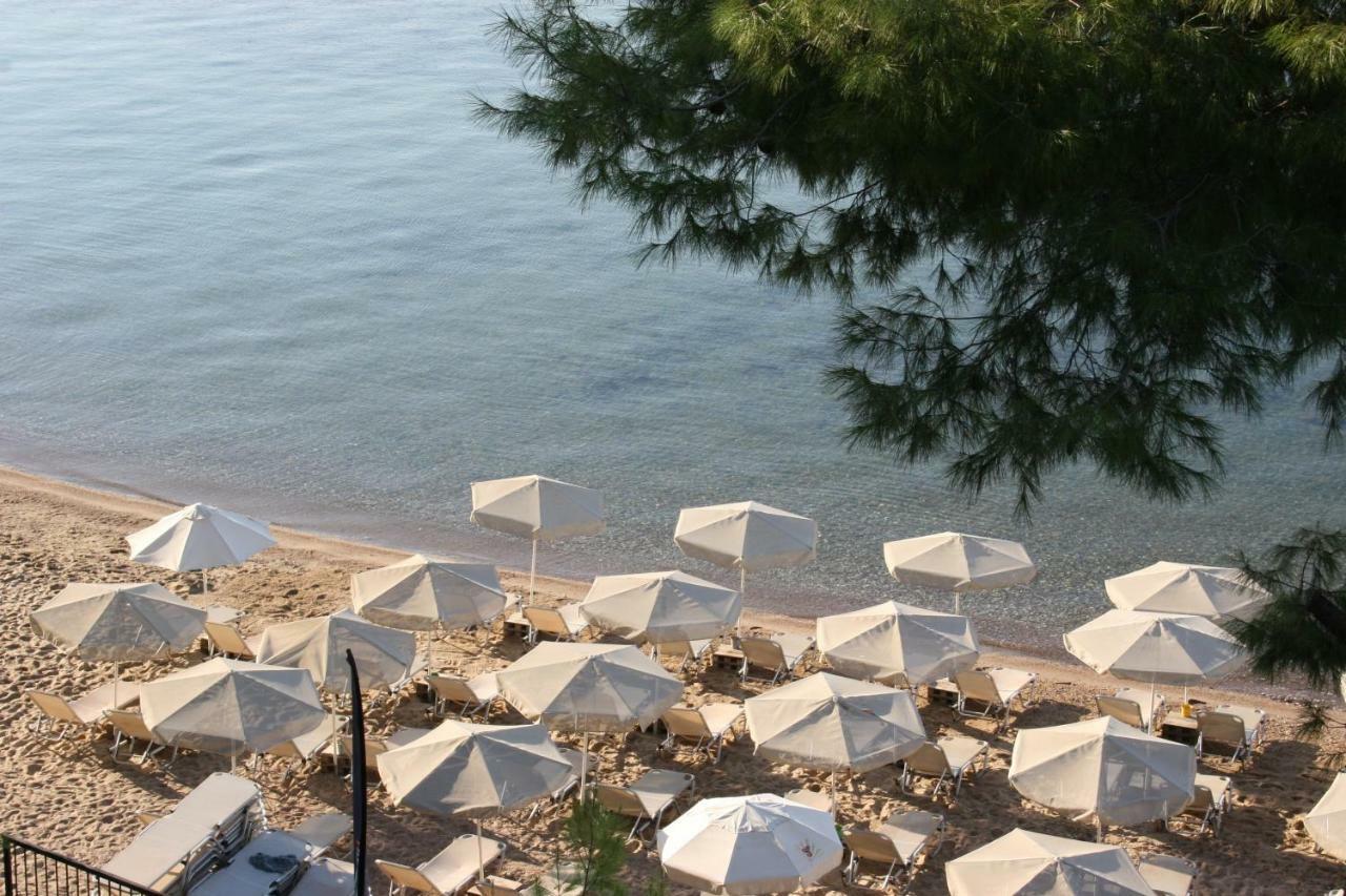 Cosy Apartment By The Sea Μεταμόρφωση Εξωτερικό φωτογραφία