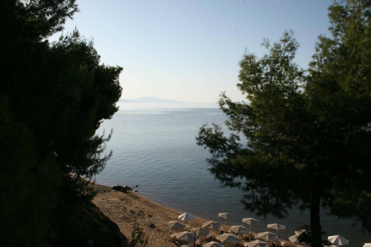 Cosy Apartment By The Sea Μεταμόρφωση Εξωτερικό φωτογραφία